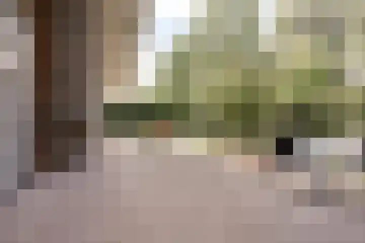 Beverenlaan 8 Roosendaal thumbnail 40
