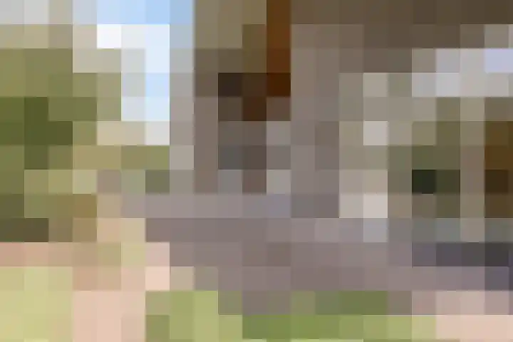 Beverenlaan 8 Roosendaal thumbnail 41