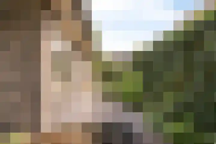 Beverenlaan 8 Roosendaal thumbnail 42