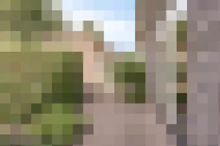 Beverenlaan 8 Roosendaal thumbnail 44