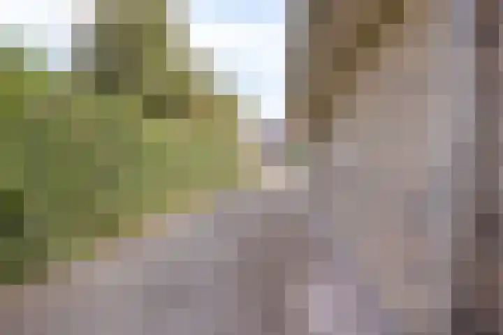 Beverenlaan 8 Roosendaal thumbnail 46