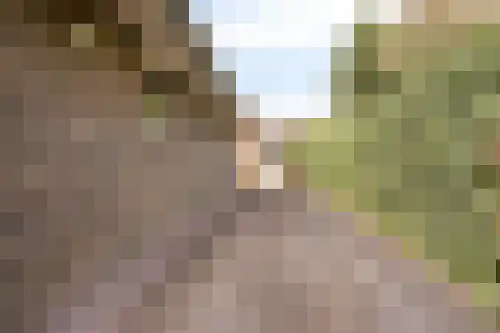 Beverenlaan 8 Roosendaal thumbnail 47