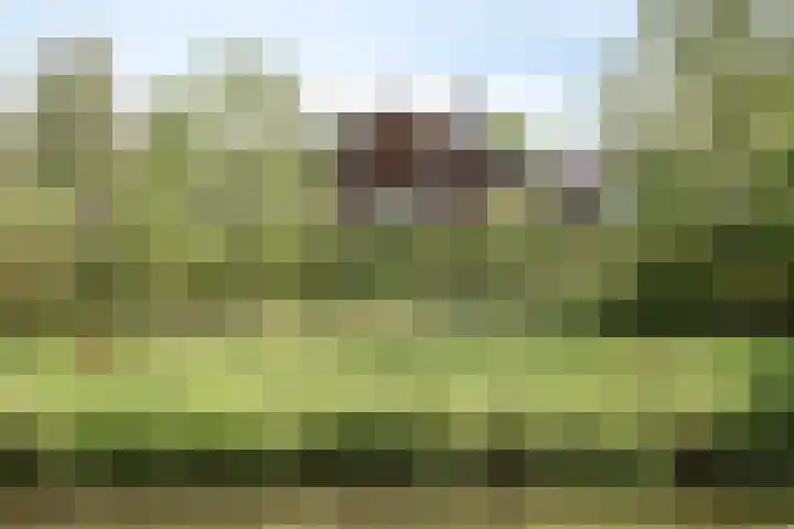 Beverenlaan 8 Roosendaal thumbnail 50