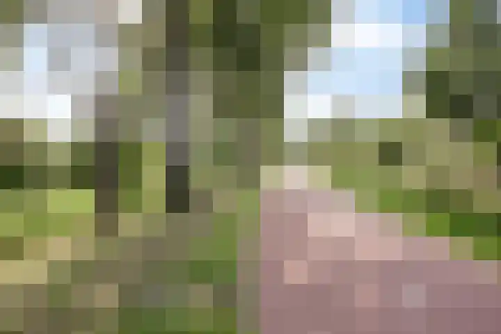 Beverenlaan 8 Roosendaal thumbnail 51