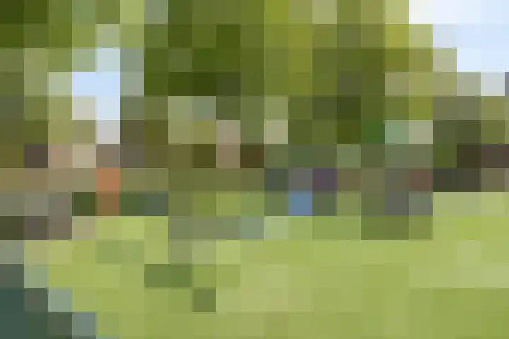 Beverenlaan 8 Roosendaal thumbnail 52