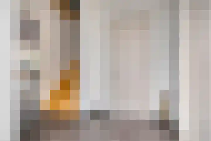 Beverenlaan 8 Roosendaal thumbnail 6