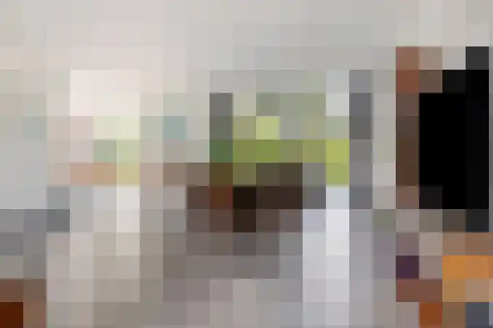 Beverenlaan 8 Roosendaal thumbnail 9