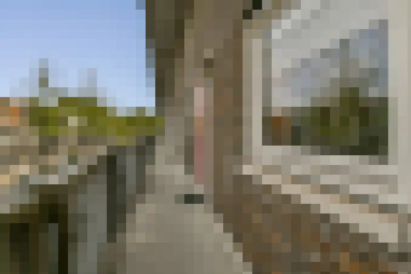 Beverenstraat 61 Amsterdam thumbnail 6