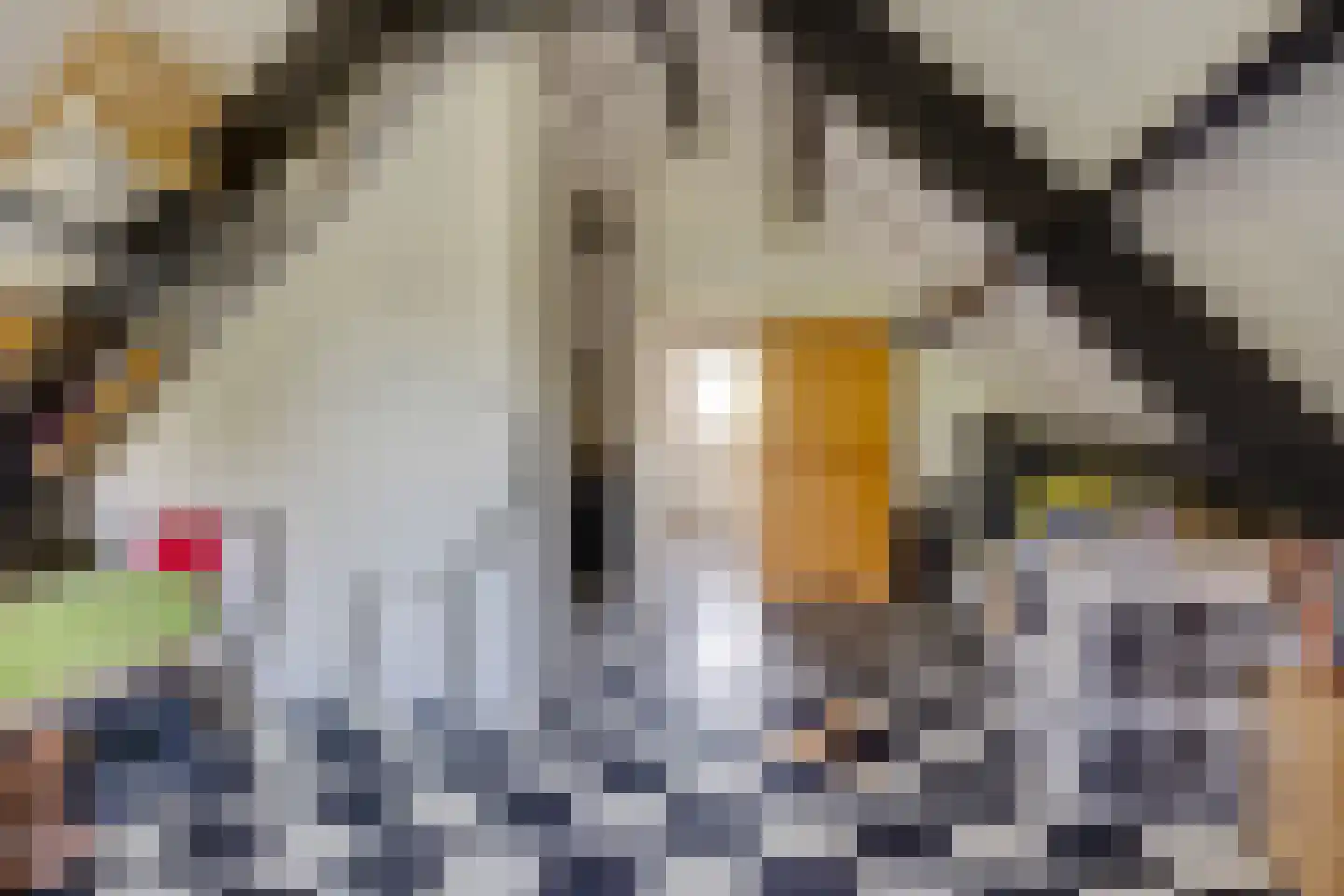 Beverhoeve 33 Leusden thumbnail 32
