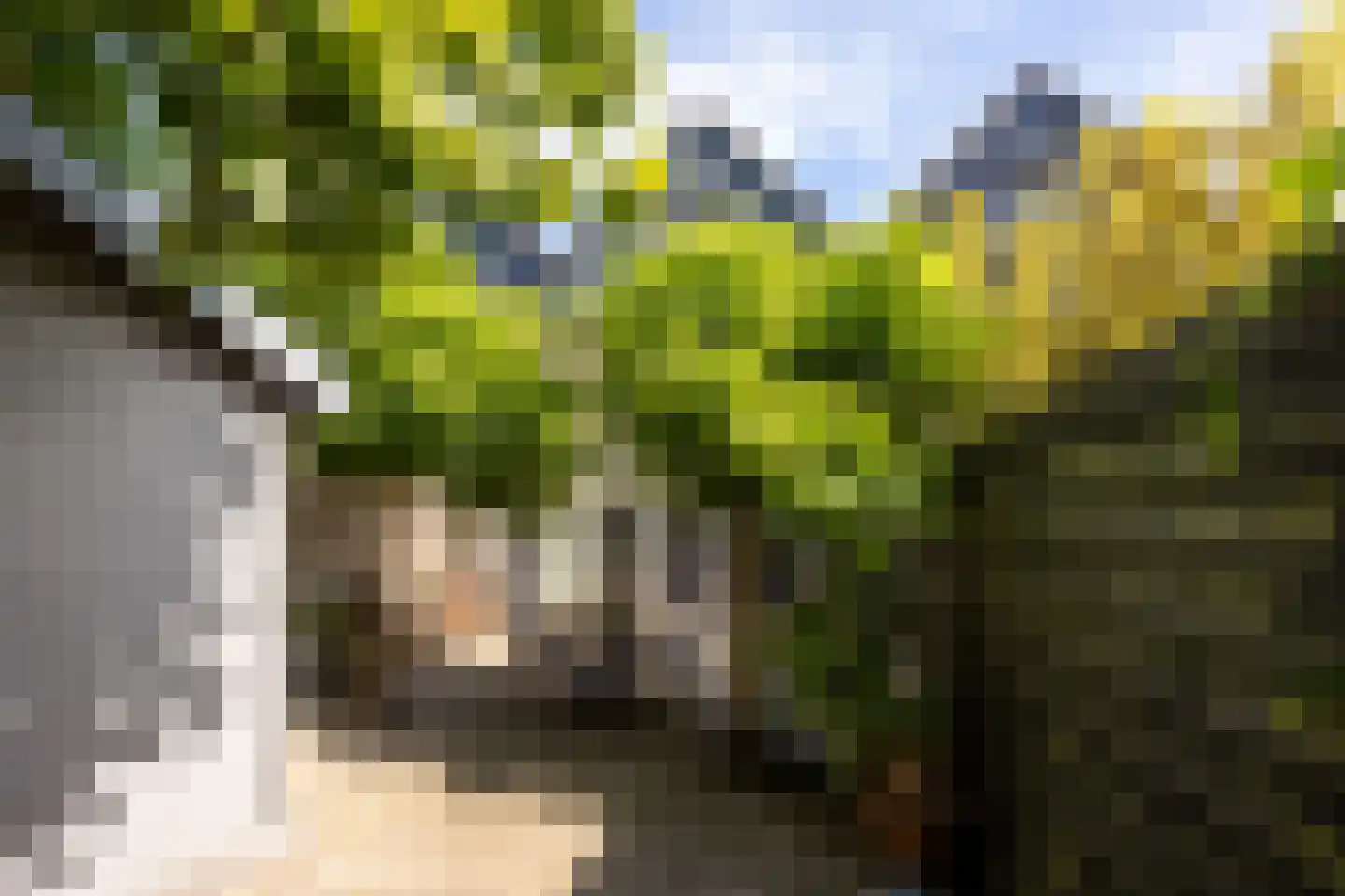 Beverhoeve 33 Leusden thumbnail 35