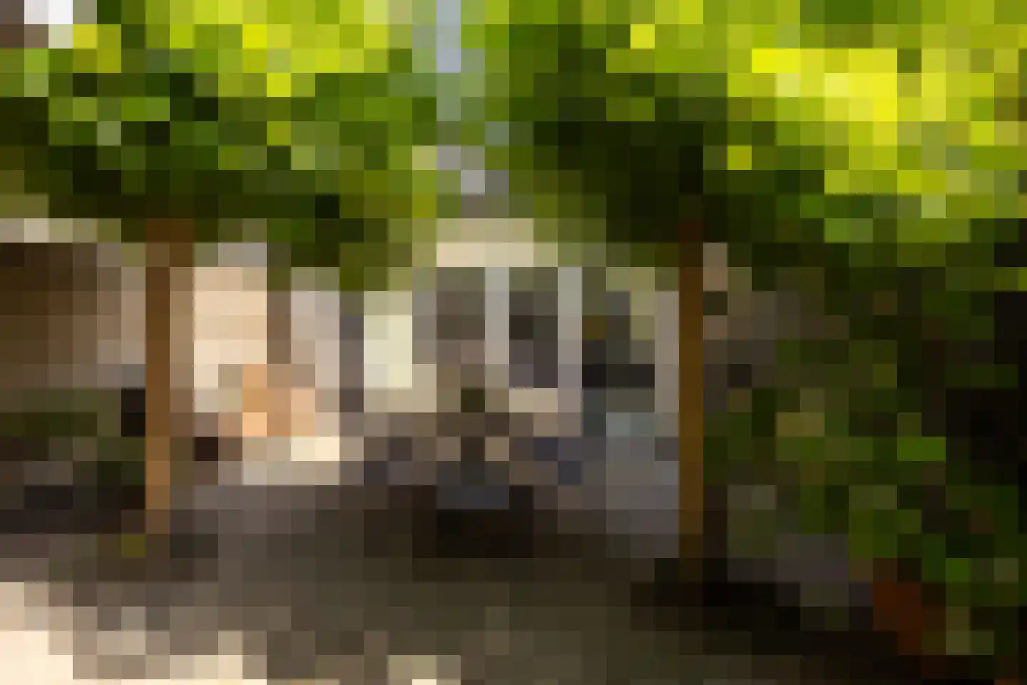 Beverhoeve 33 Leusden thumbnail 36