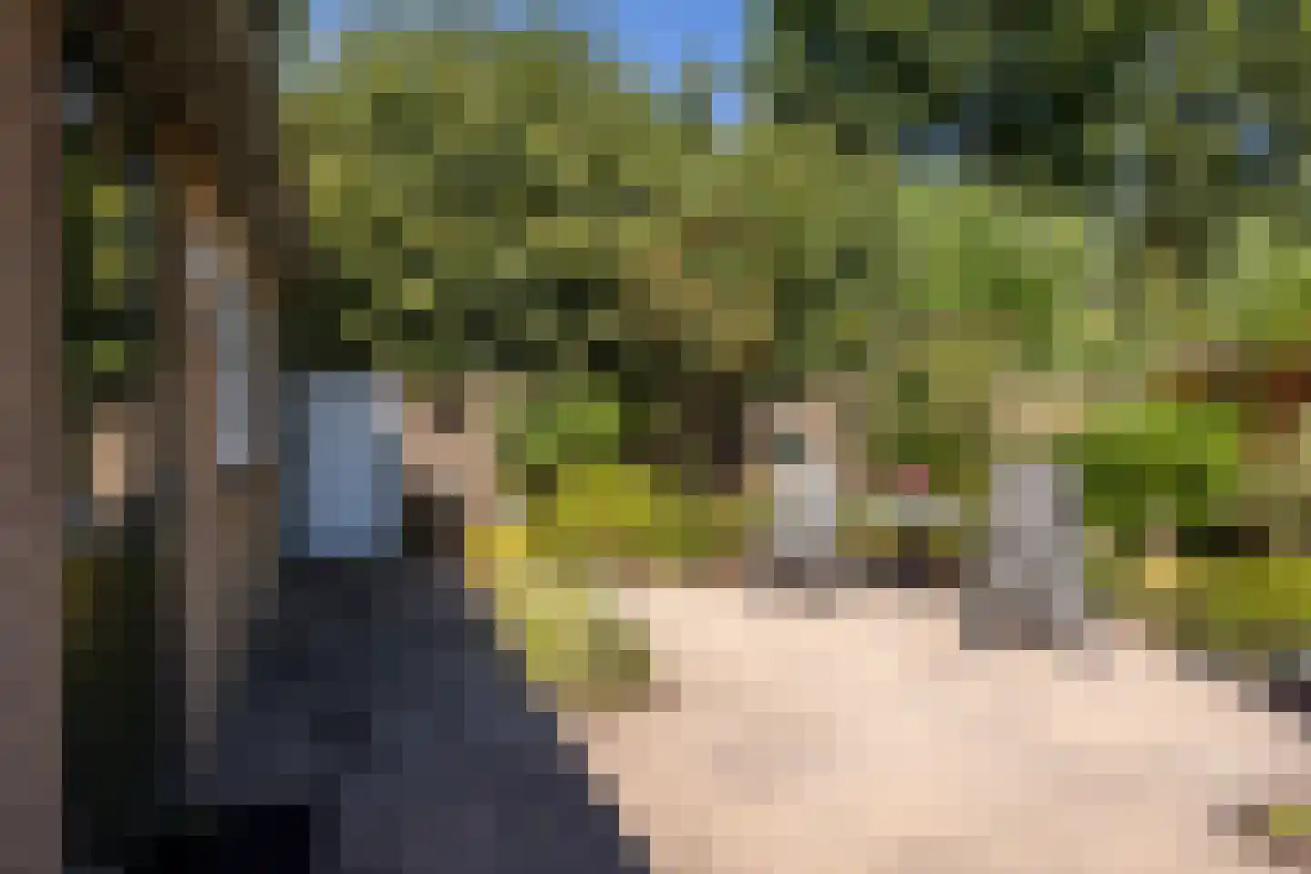 Beverhoeve 65 Leusden thumbnail 27