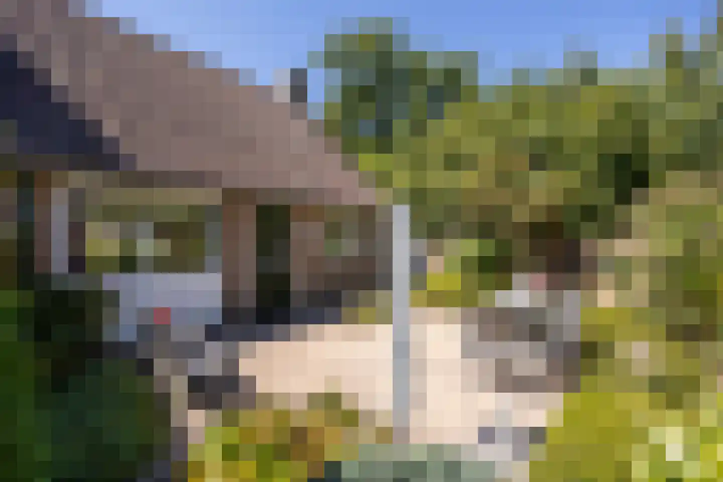 Beverhoeve 65 Leusden thumbnail 30
