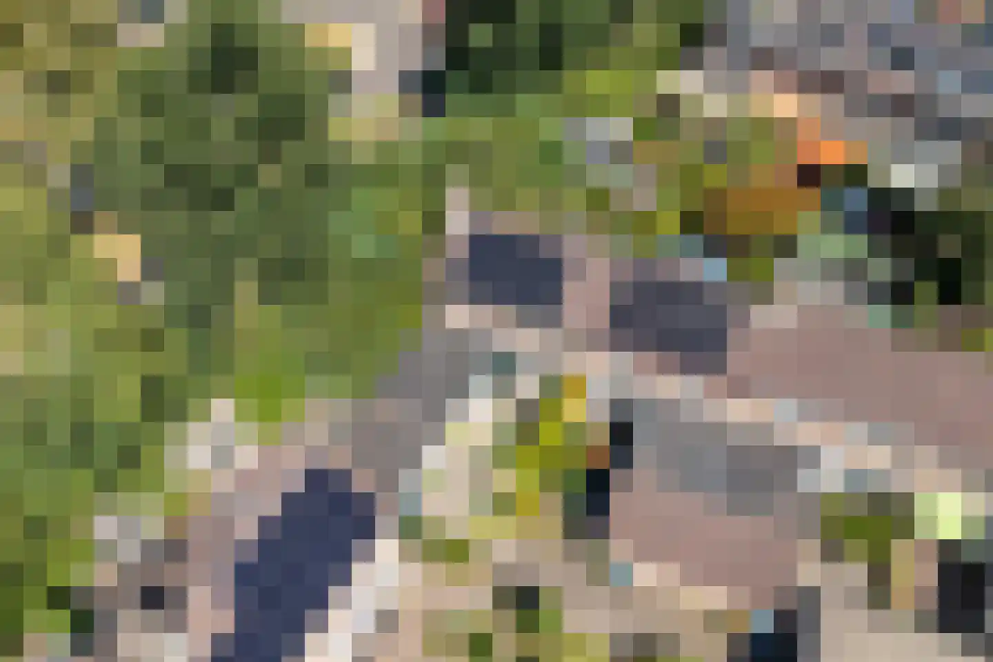 Beverhoeve 65 Leusden thumbnail 31