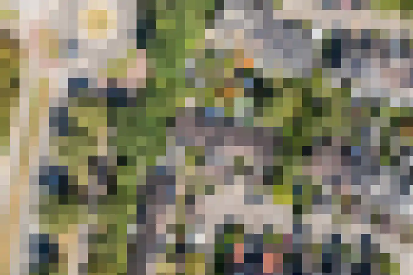 Beverhoeve 65 Leusden thumbnail 32