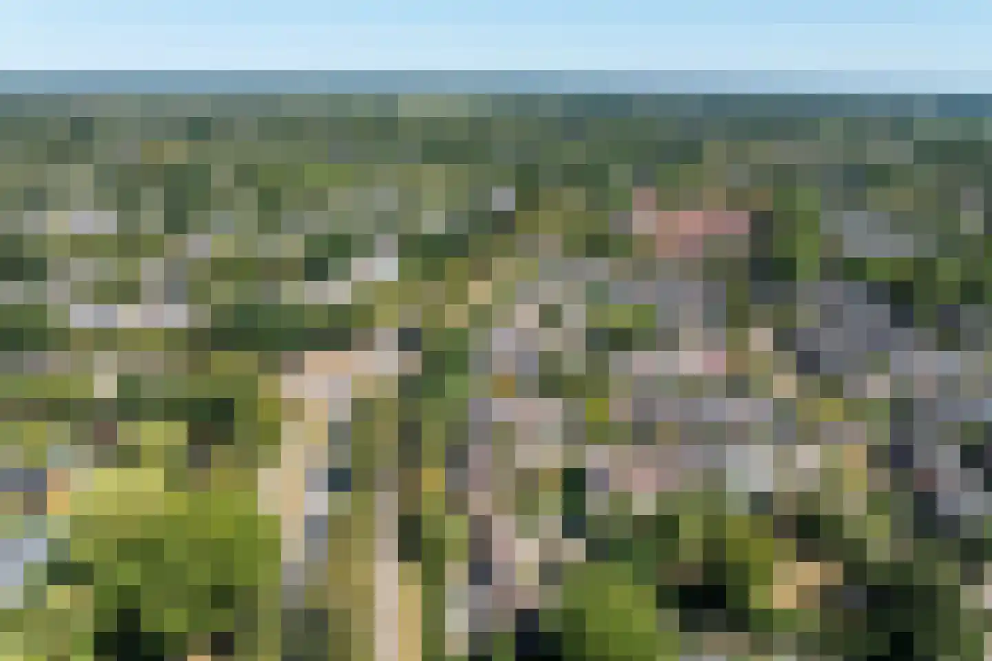 Beverhoeve 65 Leusden thumbnail 35