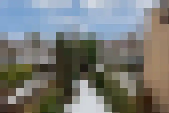 Beverhoeve 9 Leusden thumbnail 32