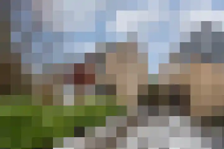 Beverhoeve 9 Leusden thumbnail 34