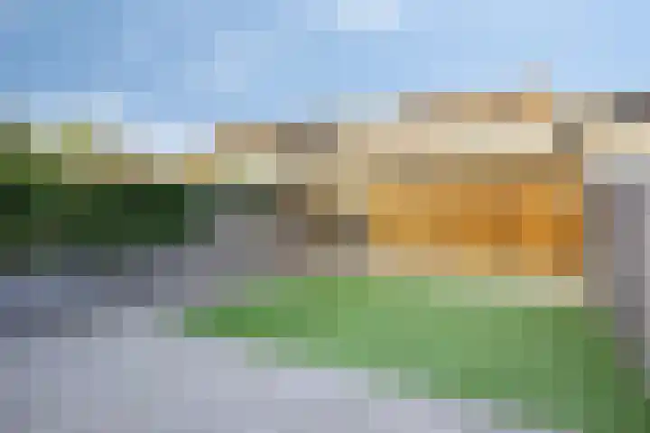 Beverhof 136 Winschoten thumbnail 27