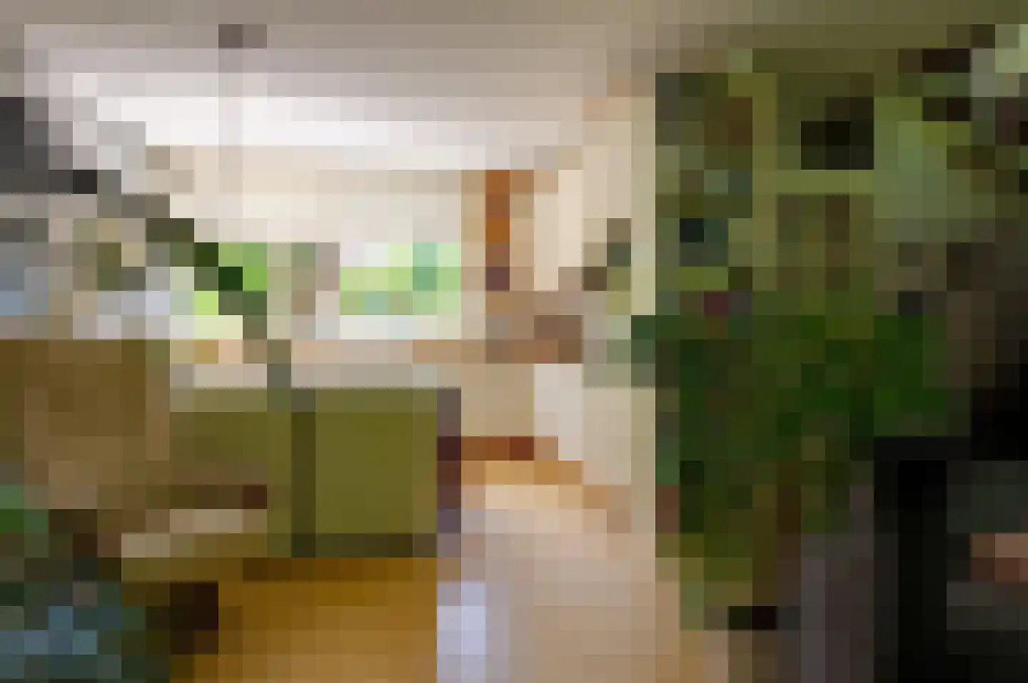 Beverhof 173 Winschoten thumbnail 15