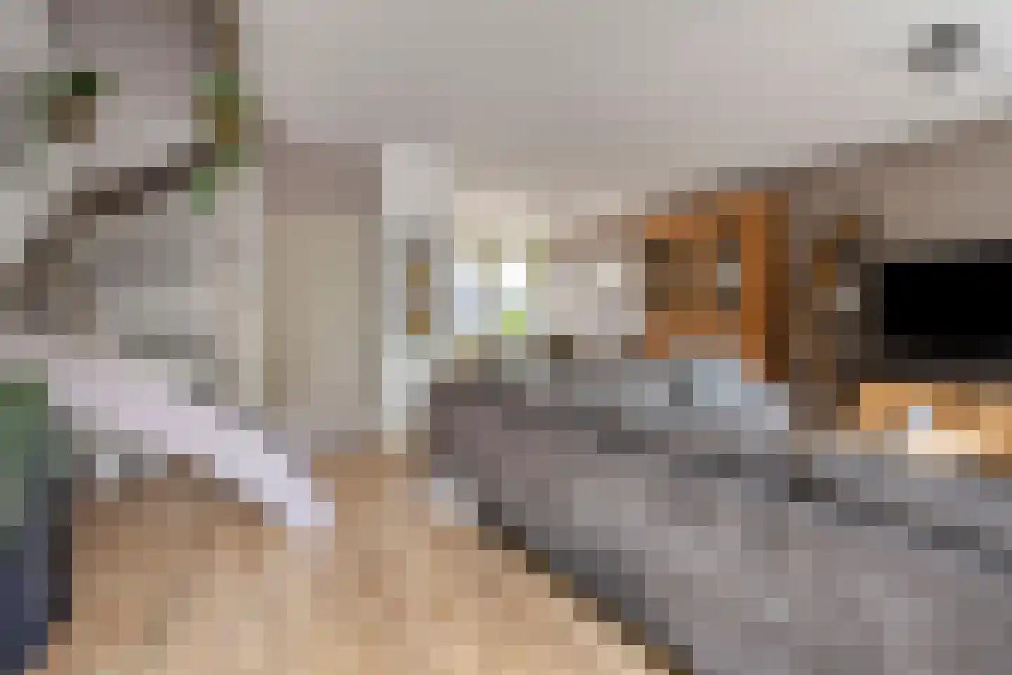 Beverhof 30 Winschoten thumbnail 14