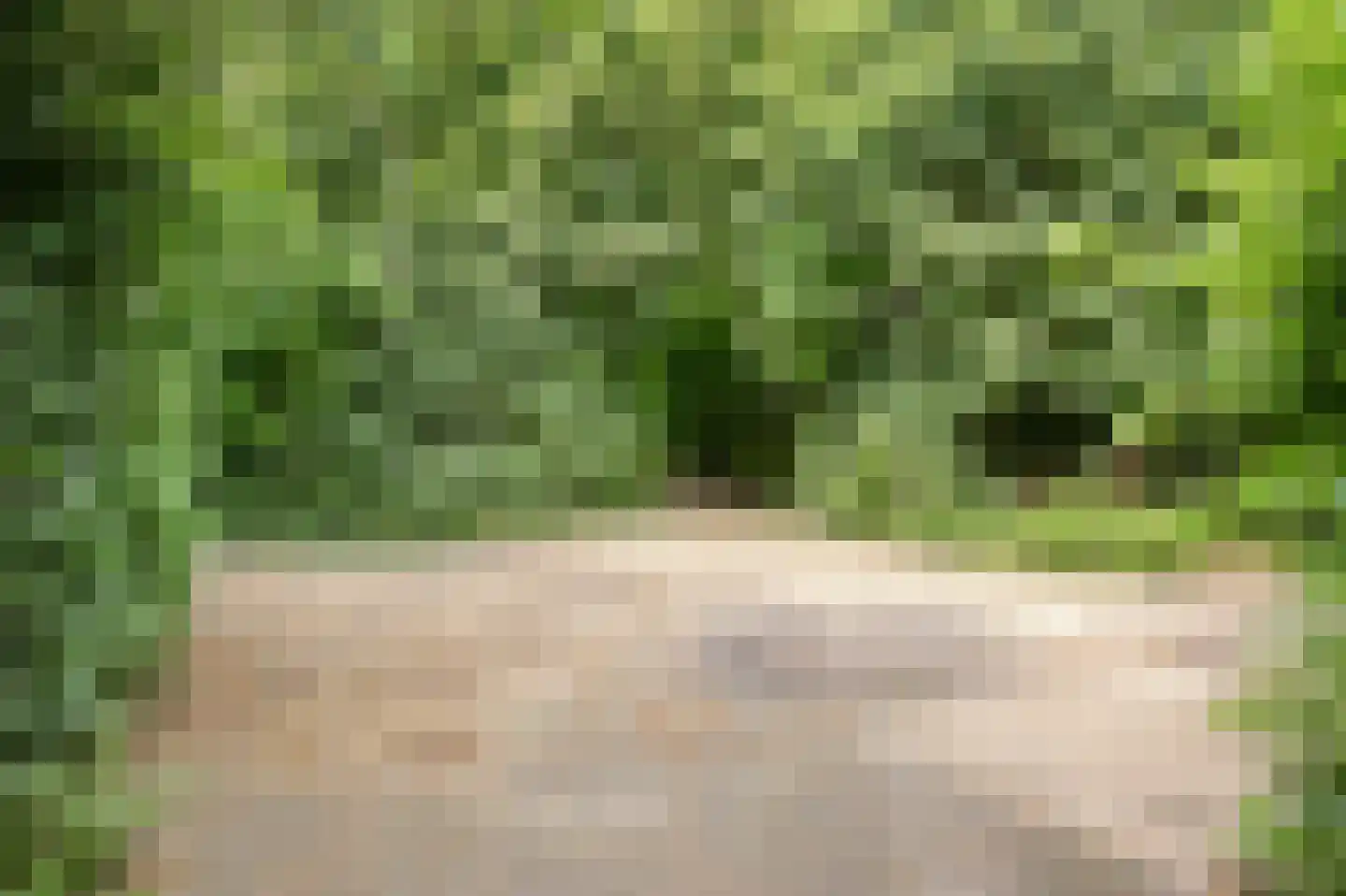 Beverhof 30 Winschoten thumbnail 37