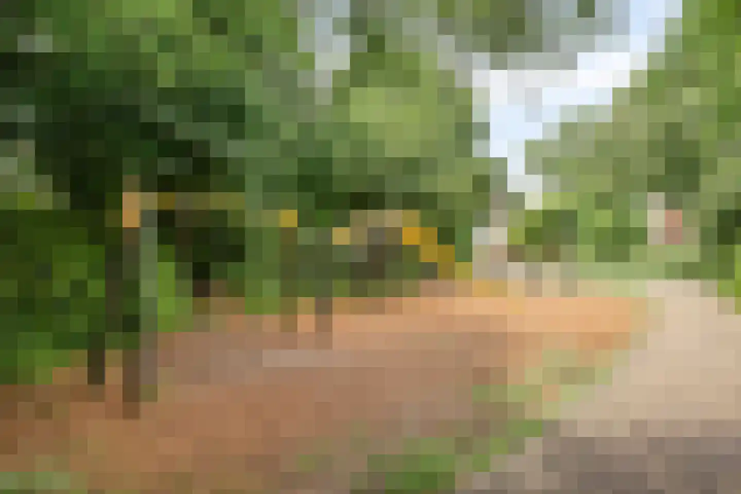 Beverhof 30 Winschoten thumbnail 38