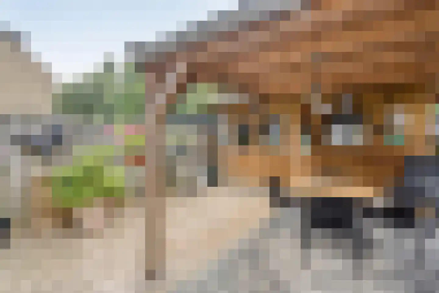 Beverhof 30 Winschoten thumbnail 4