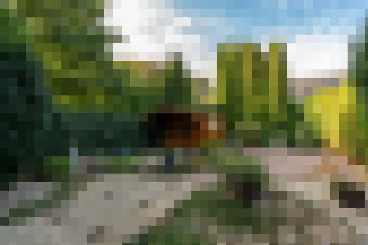 Beverhof 34 Winschoten thumbnail 33