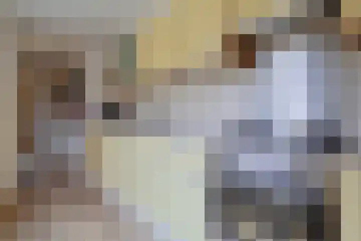 Beverhof 66 Winschoten thumbnail 22