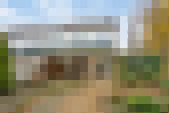 Beverhof 66 Winschoten thumbnail 40