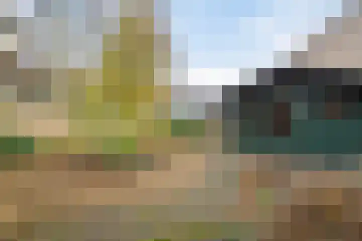 Beverhof 66 Winschoten thumbnail 46