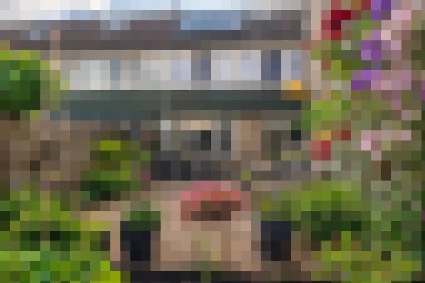Beverhof 74 Winschoten thumbnail 51