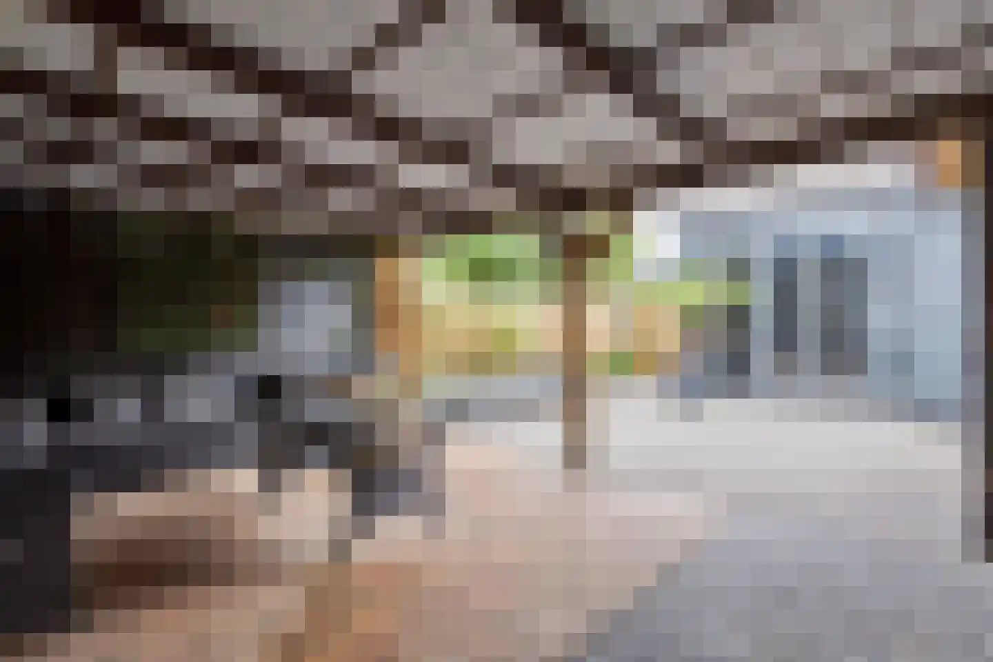 Beverhof 84 Winschoten thumbnail 39
