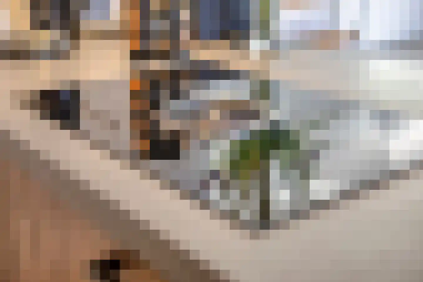 Beverlaan 11 Waalre thumbnail 19
