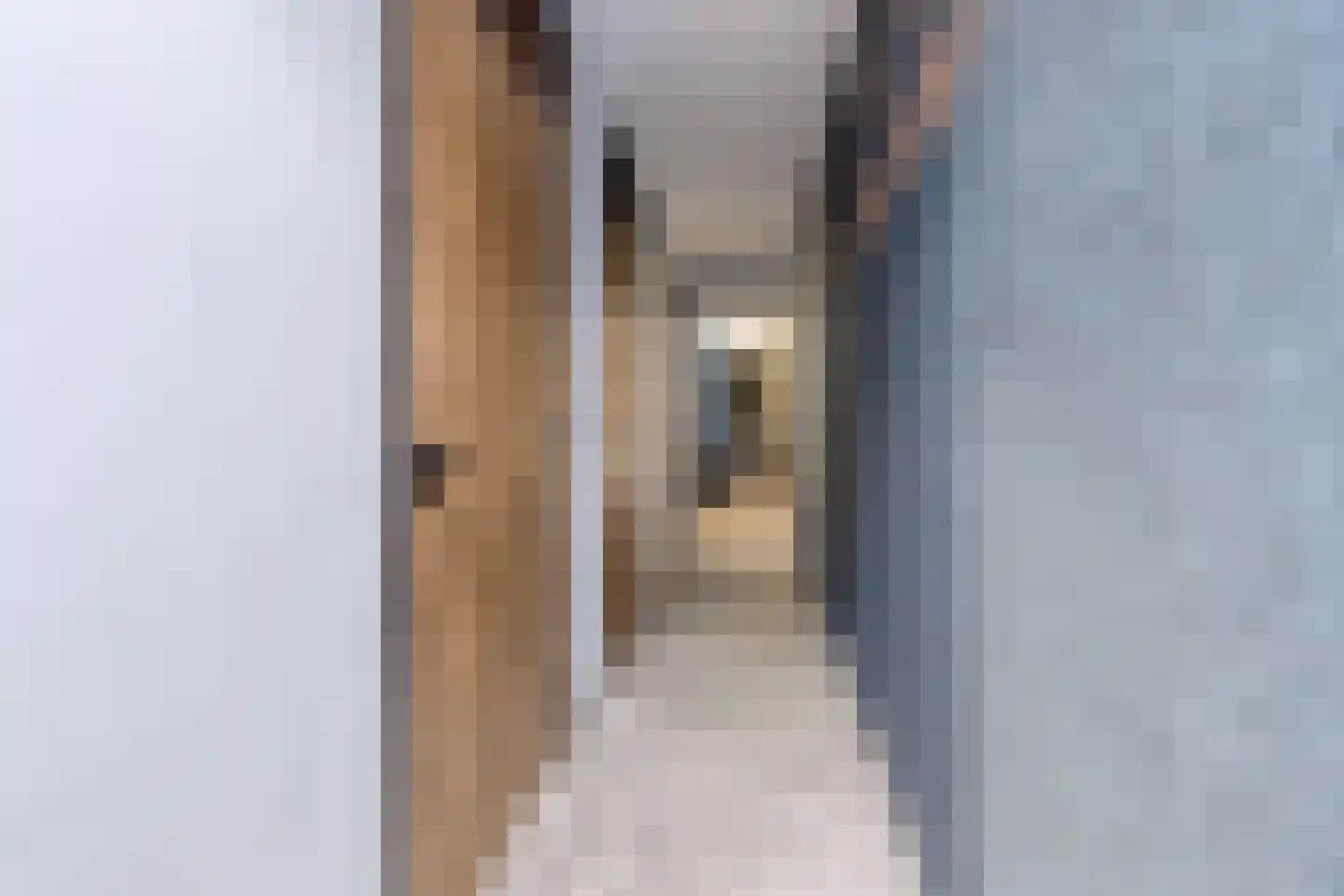 Beverlaan 11 Waalre thumbnail 23