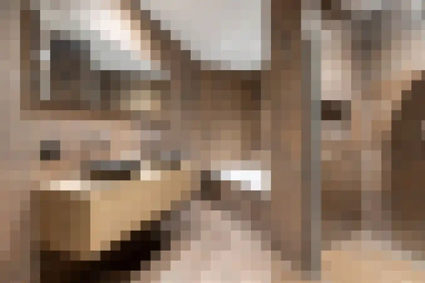 Beverlaan 11 Waalre thumbnail 30