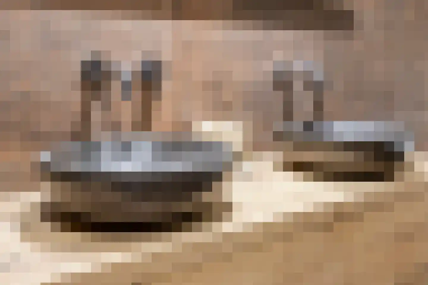 Beverlaan 11 Waalre thumbnail 32