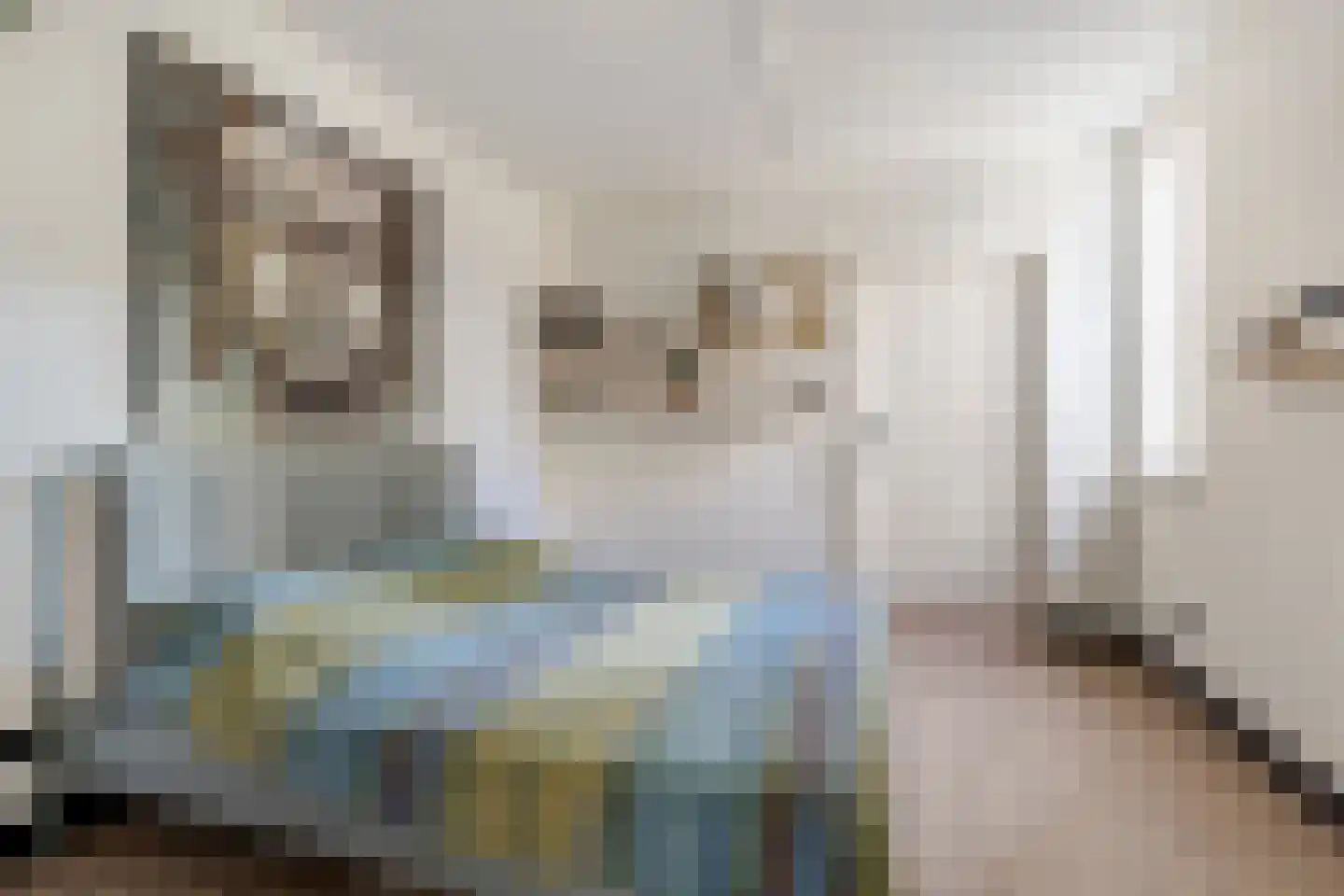 Beverlaan 11 Waalre thumbnail 33