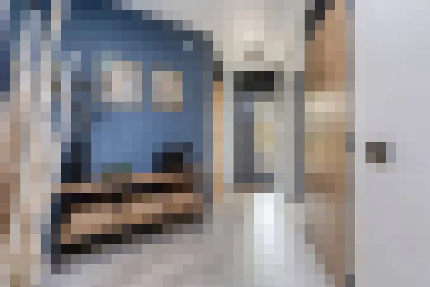 Beverlaan 11 Waalre thumbnail 6