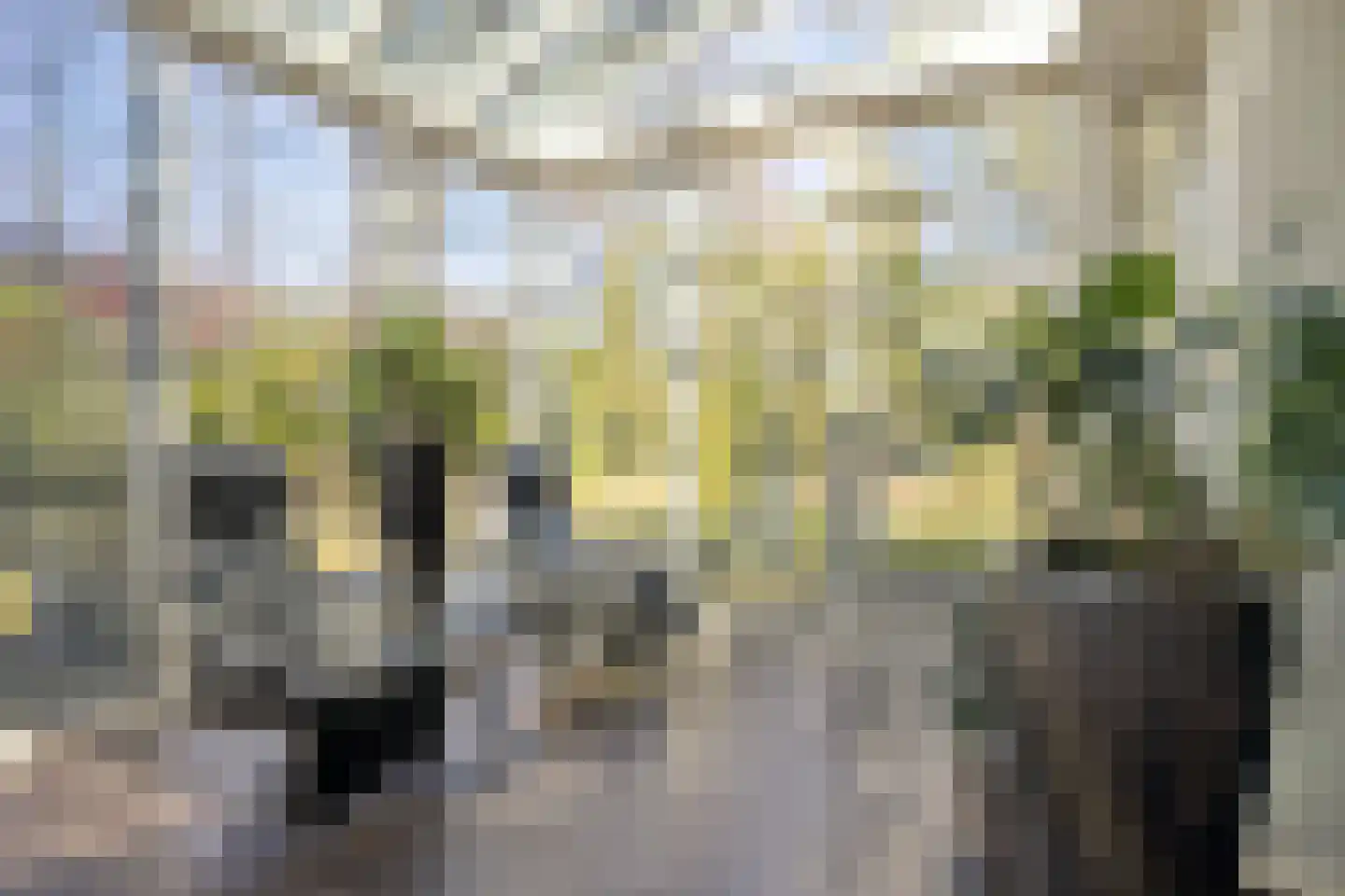 Beverlaan 15 Waalre thumbnail 15