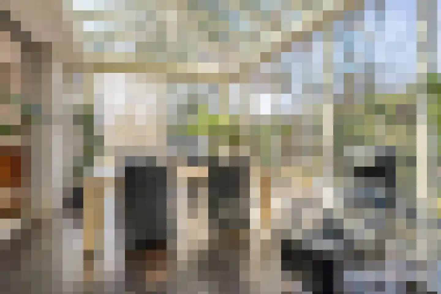Beverlaan 15 Waalre thumbnail 16