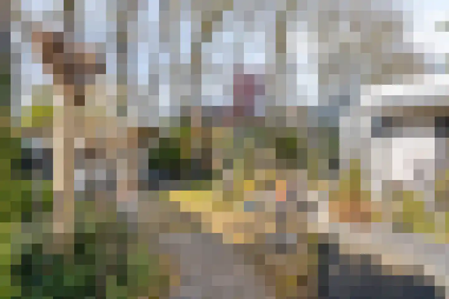 Beverlaan 15 Waalre thumbnail 29