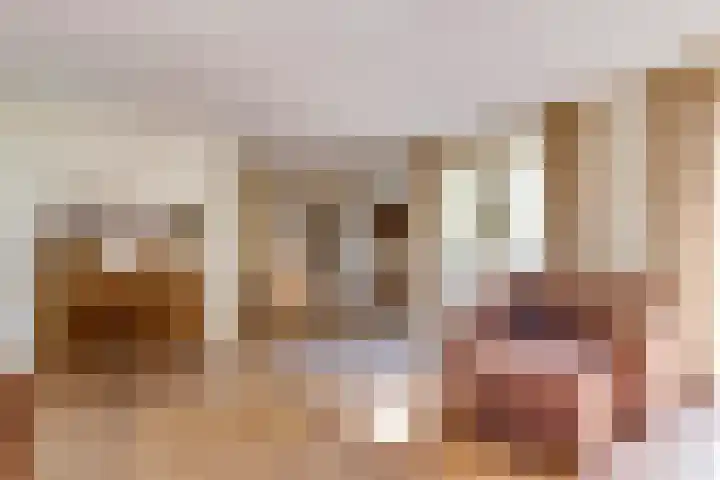 Beverlaan 2 Son en Breugel thumbnail 14