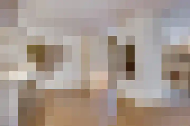 Beverlaan 2 Son en Breugel thumbnail 15
