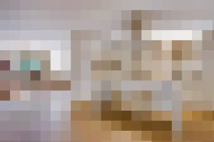Beverlaan 2 Son en Breugel thumbnail 17