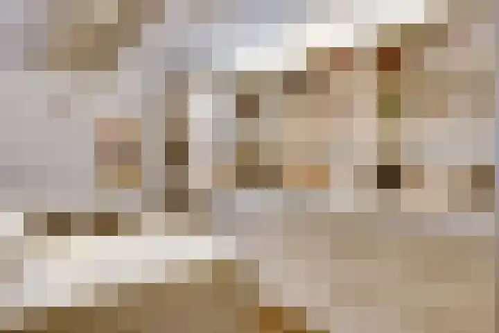 Beverlaan 2 Son en Breugel thumbnail 18
