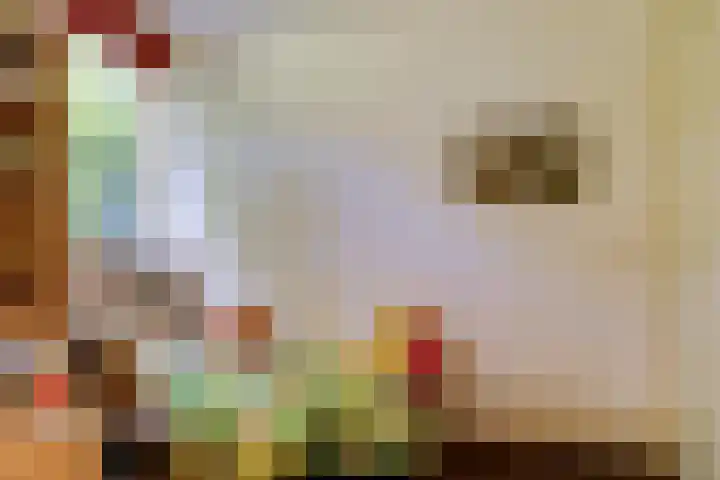 Beverlaan 2 Son en Breugel thumbnail 32