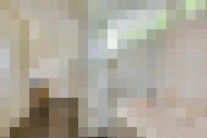 Beverlaan 2 Son en Breugel thumbnail 34