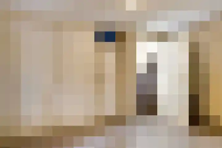 Beverlaan 2 Son en Breugel thumbnail 37